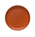 image of Libbey DRI-18-C China Plate – 7-3/4" Round Coupe Rim, Flat Satin Matte Porcelain, Vitrified – 12/Case