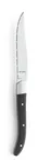 image of Amefa 2520A1B000113 Steak Knife, 8-13/16" 18/10 Stainless Steel Blade, ABS Handle, Royal Steak Series