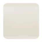 image of RAK Porcelain AUSP30 Aurea Square Plate, 11.8" Porcelain, Oven/Microwave/Dishwasher Safe - 6/Case