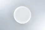 image of RAK Porcelain DGNNPR24CS - 9.4" Round Coupe Porcelain Plate, White Celeste, 9.4" Diameter - 12/Case
