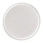 image of RAK Porcelain EACP16CL - 6.3" Round Flat‑Edge Coupe Plate, Oven‑Microwave Safe, 24/Case