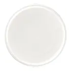 image of RAK Porcelain EACP16DU - 6.3" Flat Coupe Rim Dinner Plate, Microwave & Dishwasher Safe - 24/Case