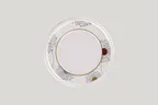 image of RAK Porcelain EAFP32D208 Ease Plate, 12.6" Round Flat Rim Porcelain Ivoris Spring Finish - 6/Case
