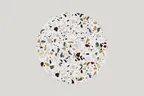 image of RAK Porcelain KELUFP27 - 10.6" Round Flat Porcelain Dinner Plate, Kerrazzo Finish, 12/Case