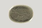 image of RAK Porcelain KSOP32ST - Oval Krush Platter, 12.6" L x 9.25" W, Coupe Rim, Porcelain - 6/Case