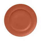 image of RAK Porcelain NFCLFP33BW - Neo Fusion 13" Round Terra Brown China Plate, Rim, Lead‑Free - 6/Case