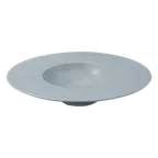 image of RAK Porcelain NFGDDP29PG Round Plate, 11.4" Dia x 2.56" H, Pitaya Grey, Dishwasher Safe - 6/Case