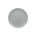 image of RAK Porcelain NFNNPR29PG - Round Plate 11.4" Dia, Coupe Rim, Porcelain, Dishwasher Safe - 12/Case