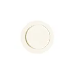 image of RAK Porcelain NOFP32 - China Plate 12.6" (12-3/5") Flat Edge, Dishwasher & Microwave Safe - 6/Case