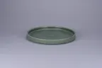 image of RAK Porcelain NOLD23SDG - 9" Round Rimless Plate, Dark Green Stoneware, Microwave Safe - 6/Case