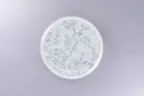 image of RAK Porcelain ONPR24D214 - 9.4" Round Coupe Rim Porcelain Plate Dishwasher & Microwave Safe - 12/Case