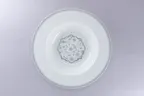 image of RAK Porcelain PLFDDP31D214 - Round Deep Pasta Bowl, 12" 26 oz Porcelain, Microwave Safe - 6/Case