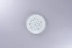 image of RAK Porcelain PLFDFP16D214 Floret Round Plate, 6.3" Diameter, Wide Rim, White Porcelain - 24/Case