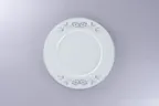 image of RAK Porcelain PLFDFP25D214 Round Plate, 9.9" White Porcelain, Wide Rim, Oven/Microwave Safe - 12/Case