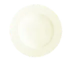 image of RAK Porcelain PXFP32 Pixel Plate, 12.625" Round Flat Edge Porcelain Plate, Dishwasher Safe - 6/Case