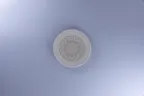 image of RAK Porcelain REALUFP16E15 - Round Plate 6" Diameter, Flat Coupe Rim, Porcelain - 24/Case
