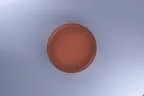 image of RAK Porcelain RETLUDP21E02 - 8" Round Deep Rim Porcelain Plate, 8" Diameter, - 12/Case