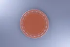 image of RAK Porcelain RETLUFP24E04 - Tero Annaba Round Plate, 9.25" Diameter, Flat Edge Porcelain, 12/Case