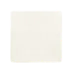 image of RAK Porcelain SPSP30 - Spice Ginger Square Plate 12" x 1" White Porcelain, Dishwasher Safe - 6/Case
