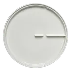 image of RAK Porcelain SSPR24 Sensate Round Plate, 9.4" White Embossed Rim, Dishwasher Safe - 6/Case