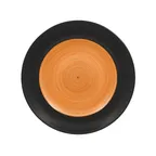 image of RAK Porcelain TRCLFP29BC Trinidad Plate, 11.4" Round Flat Edge Porcelain, Fridge/Freezer Safe - 12/Case