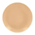 image of RAK Porcelain VNNNPR24BG Round Plate 9"4/9" Beige Porcelain Rim, Microwave Dishwasher Safe - 12/Case
