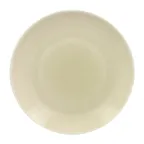 image of RAK Porcelain VNNNPR24PL Round Plate, 9‑4/9" Diameter, Coupe Rim, Microwave Safe - 12/Case