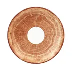 image of RAK Porcelain WDCLSA17TB - 6.75" Brown Round Saucer, Porcelain, Lead‑Free, Dishwasher Safe - 12/Case