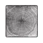 image of RAK Porcelain WDEDSQ30BG Square Plate 11.75" Beech Gray Porcelain, Oven Safe - 6/Case