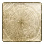 image of RAK Porcelain WDEDSQ30MG Square Plate, 11.75" Moss Green Porcelain, Lead-Free, Oven Safe - 6/Case