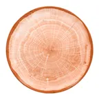 image of RAK Porcelain WDNNPR27CO Round Plate, 10.5" Diameter, Flat Coupe Rim, Cedar Orange Finish - 12/Case