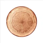 image of RAK Porcelain WDNNPR27TB Round Plate 10.5" Diameter Flat Coupe Rim Timber Brown Porcelain - 12/Case