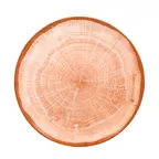 image of RAK Porcelain WDNNPR29CO Round Plate 11½" Dia Flat Coupe Rim Porcelain Orange Finish - 12/Case