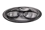 image of Ardacam 2849-43 Glass Plate