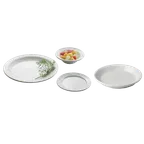 image of Dinex DX5CBPB02 Bread/Dessert Plate, 5-1/2" Round White China, Embossed Rim, Dishwasher Safe
