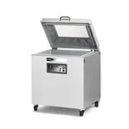 image of Eurodib PAMPERO3020D3 Falcon Vacuum Packaging Machine