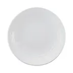 image of GET D117RR-W Plastic Plate