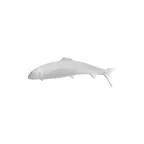 image of GET PHT07TG - Bugambilia Trout Aluminum Dish, 40" x 14-1/4" x 3.15" Deep, Tangerine, Fish