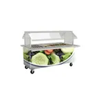 image of LTI FNR-74 74" Fresh 'N Ready Food Bar, Ice-Cooled, (5) Pan