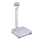 image of Penn Scale D52XW250WQV8 - 5000 lb Bench Scale, 24"x24" Stainless Platform, Washdown, IP68, 0.10 lb Graduation