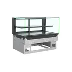 image of Structural Concepts NE4820DSV 48" Reveal® Service Non-Refrigerated Slide In Counter Case