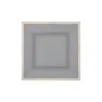 image of Thunder Group SD3212H Plate, 12" X 12", Square, Break-Resistant, Graham