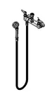 image of T&S Brass B-0168 Spray Assembly