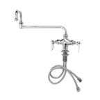 image of T&S Brass B-0250 Double Pantry Faucet, Deck Mount, Single Hole Mixing Valve