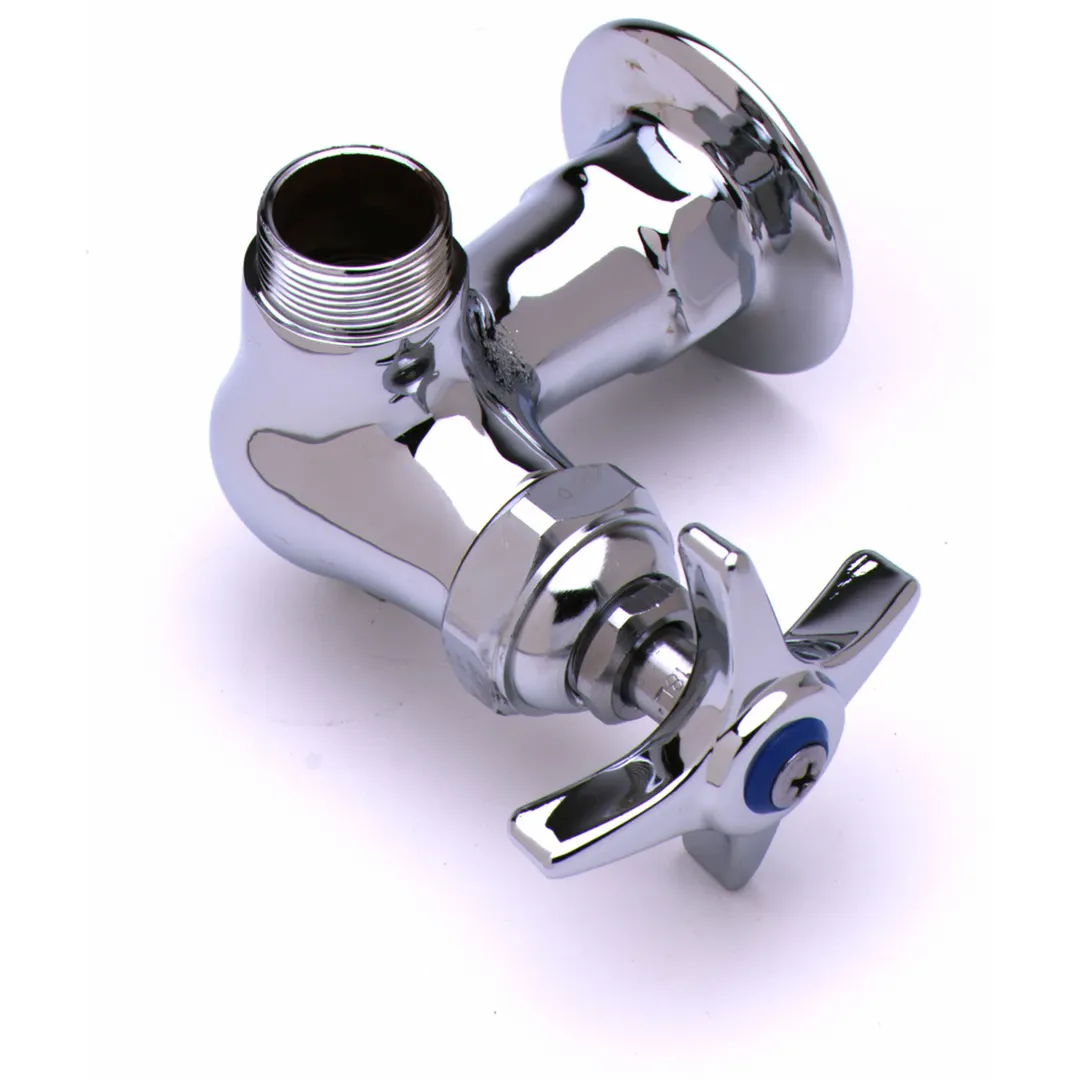 T&S Brass B-0210-LN Sink Faucet, Single, Wall Mounted