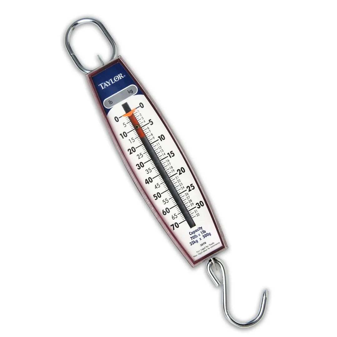 Taylor Precision 30704104 Industrial Hanging Scale, Vertical