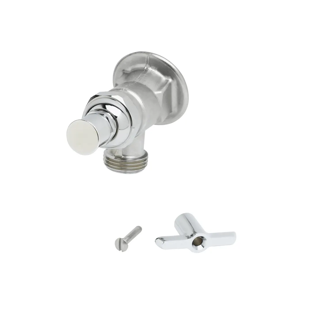 T&S Brass B-0731-POL Sill Faucet, 3/4" Flanged Female Inlet