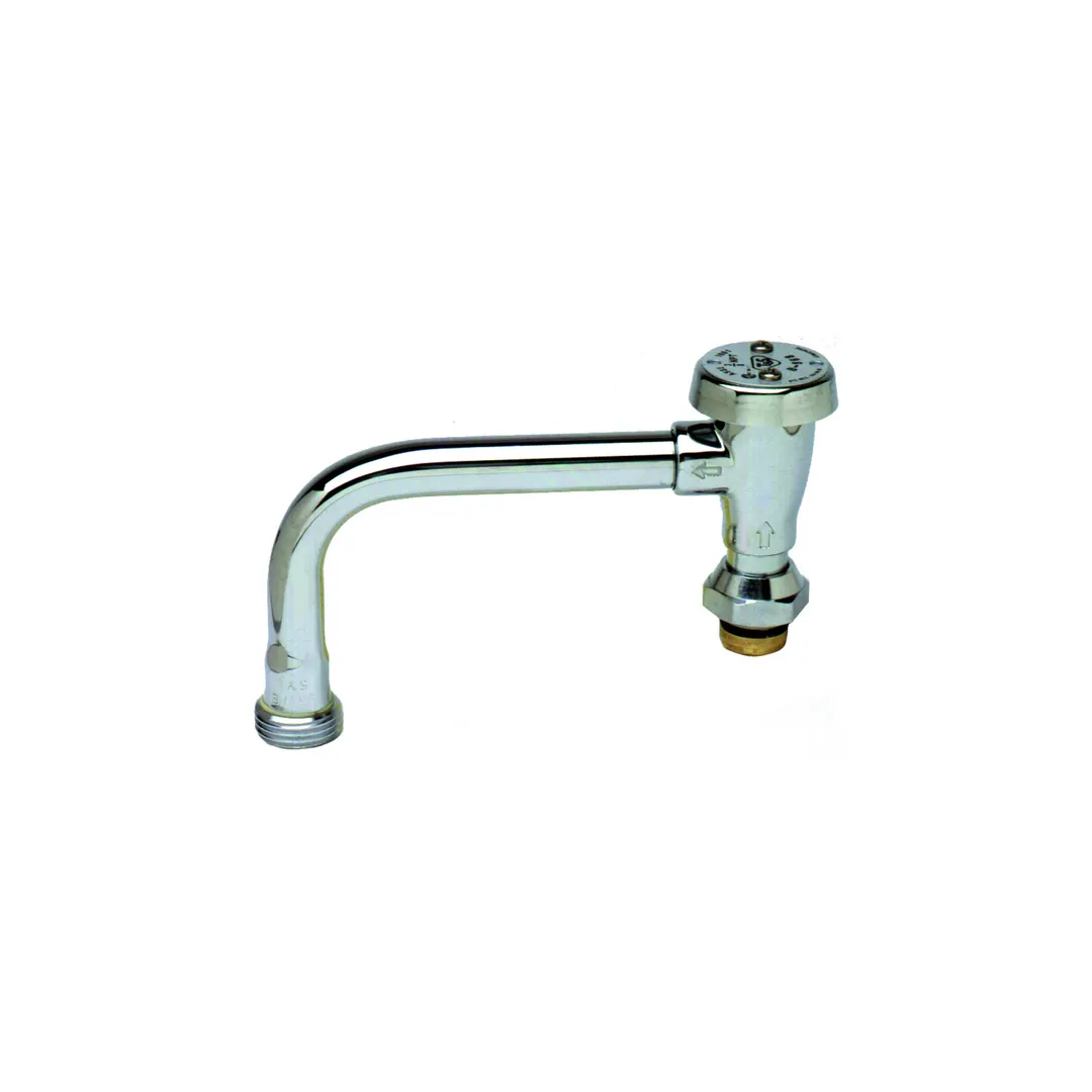 T&S Brass B-0409-04 Vacuum Breaker Swing Nozzle, with Garden Hose Outlet