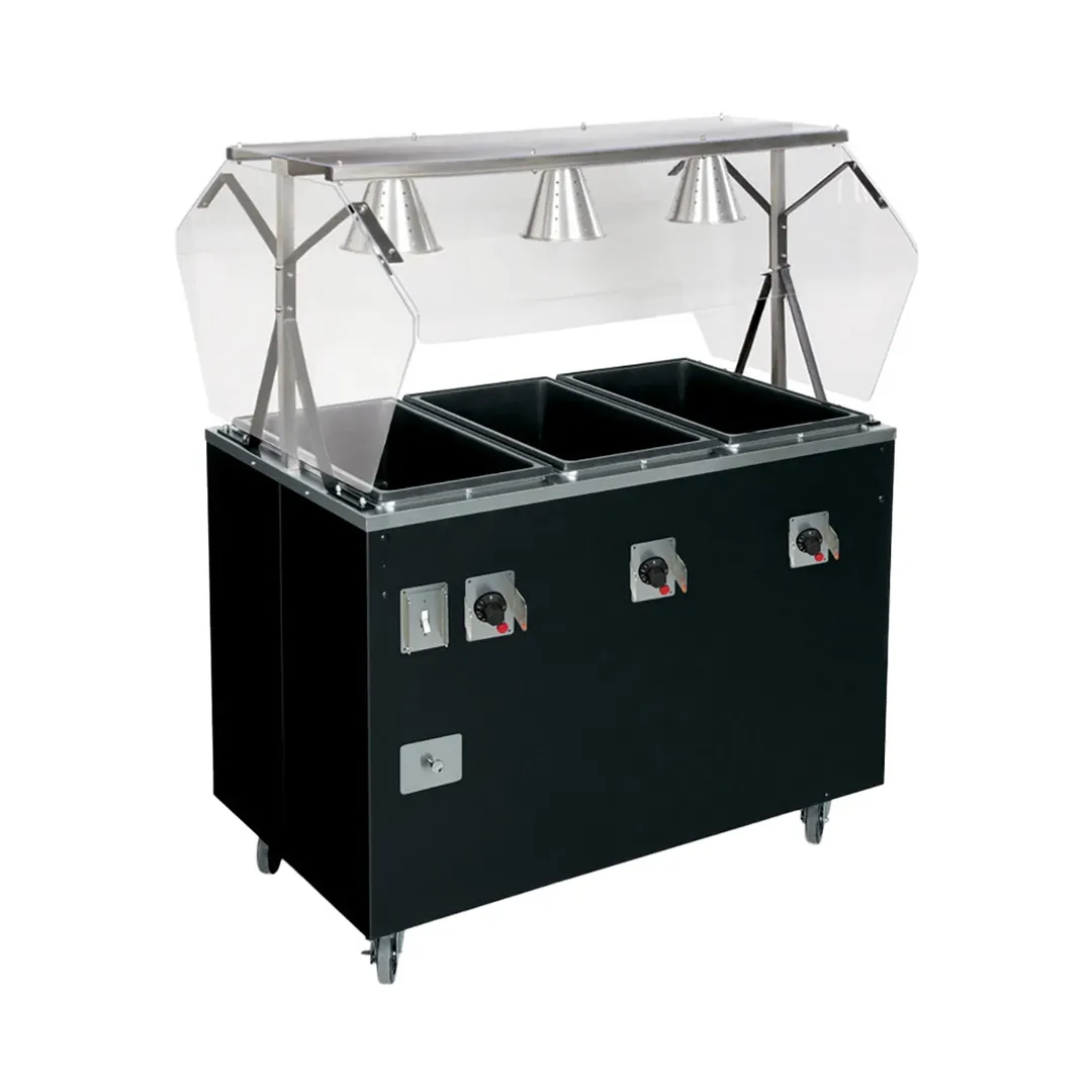 Vollrath T38731604A 60" 2-Series Affordable Portable™ (4) Sealed Well Hot Food Station Deluxe