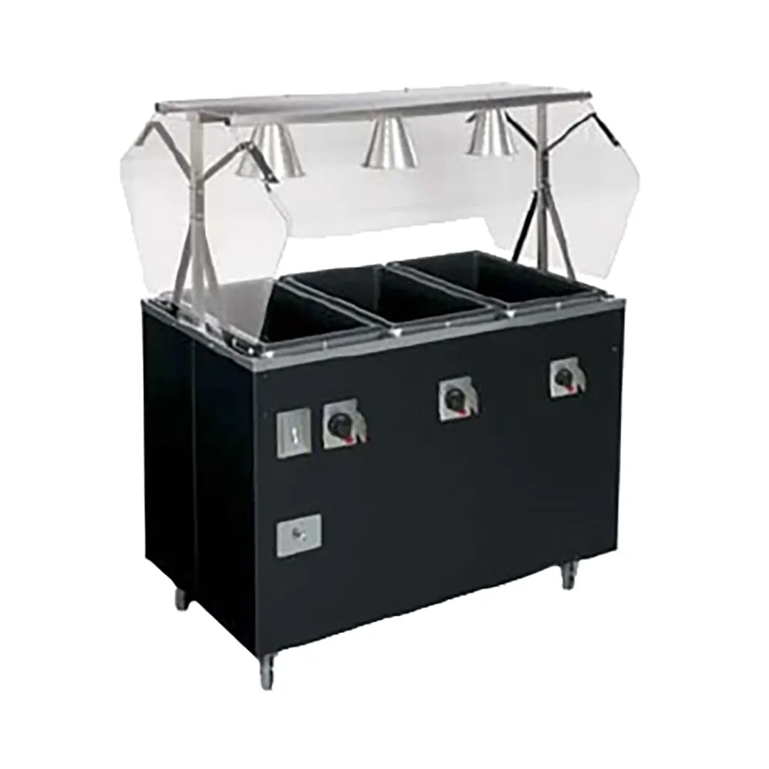 Vollrath T38707464 46" 2-Series Affordable Portable™ (3) Sealed Well Hot Food Station Deluxe